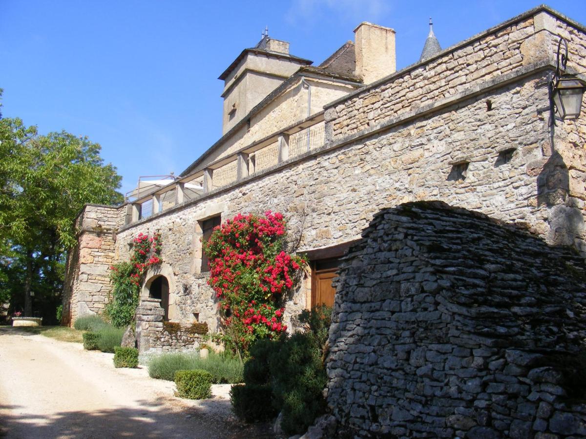 Chateau De Laumiere Promilhanes Dış mekan fotoğraf